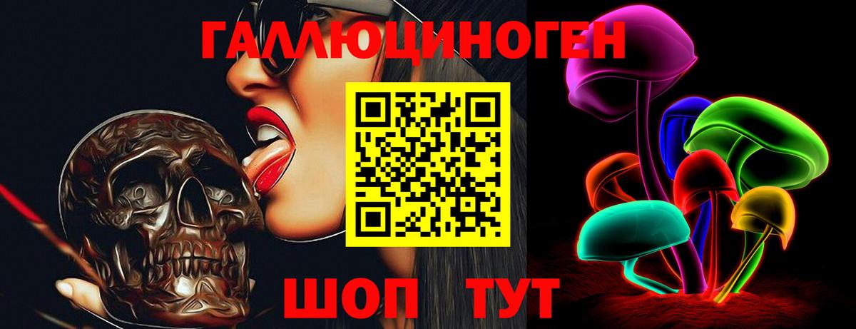 Крымск  Галлюциногенные грибы Psilocybe  Вход с VPN 